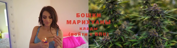 сатива Зеленодольск