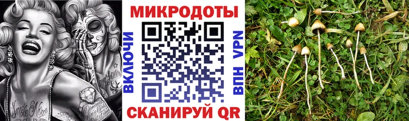 Галлюциногенные грибы прущие грибы  купить наркотики сайты  Карабаново 